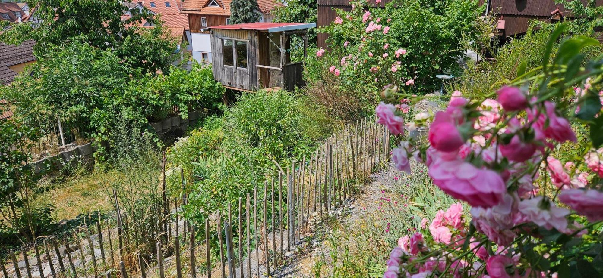 Apartmán Waldheim Lindenfels Exteriér fotografie